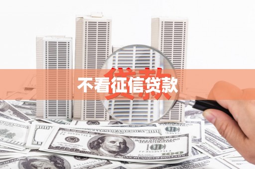 天津不看征信贷款