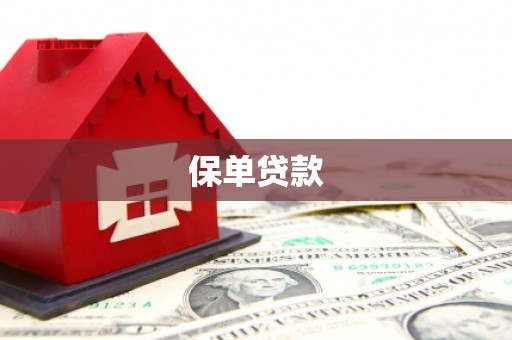 天津保单贷款