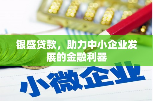 天津银盛贷款，助力中小企业发展的金融利器