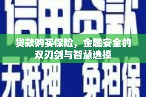 天津贷款购买保险，金融安全的双刃剑与智慧选择