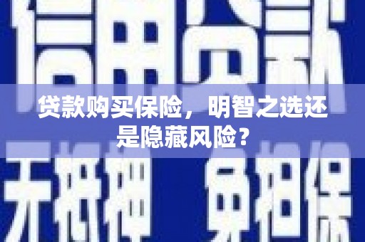 天津贷款购买保险，明智之选还是隐藏风险？