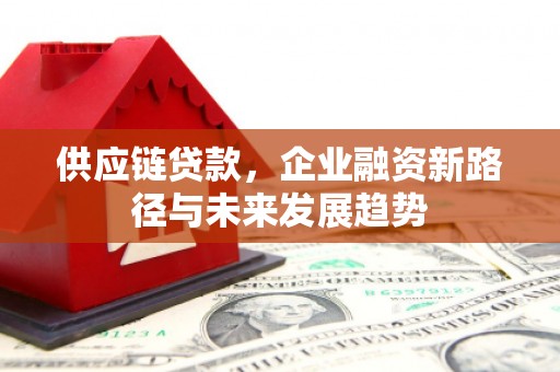 天津供应链贷款，企业融资新路径与未来发展趋势