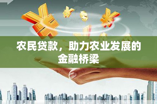 天津农民贷款，助力农业发展的金融桥梁