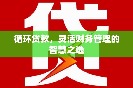 天津循环贷款，灵活财务管理的智慧之选