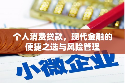 天津个人消费贷款，现代金融的便捷之选与风险管理