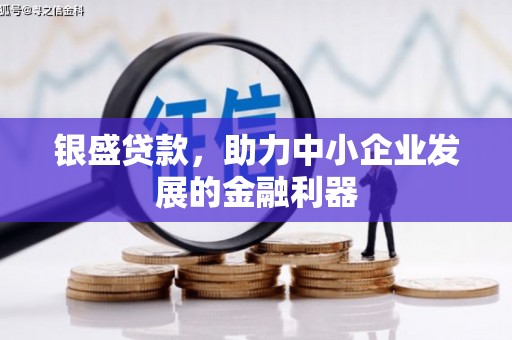 天津银盛贷款，助力中小企业发展的金融利器