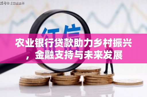 天津农业银行贷款助力乡村振兴，金融支持与未来发展