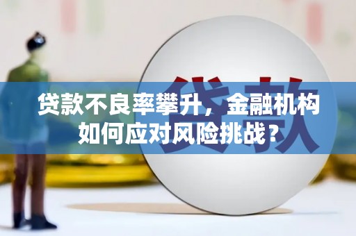 天津贷款不良率攀升，金融机构如何应对风险挑战？
