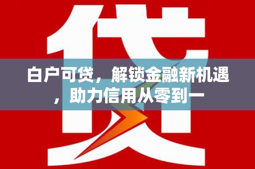 天津白户可贷，解锁金融新机遇，助力信用从零到一