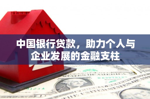 天津中国银行贷款，助力个人与企业发展的金融支柱