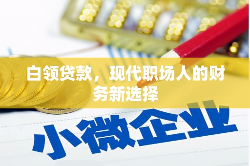 天津白领贷款，现代职场人的财务新选择