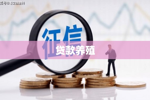 天津贷款养殖