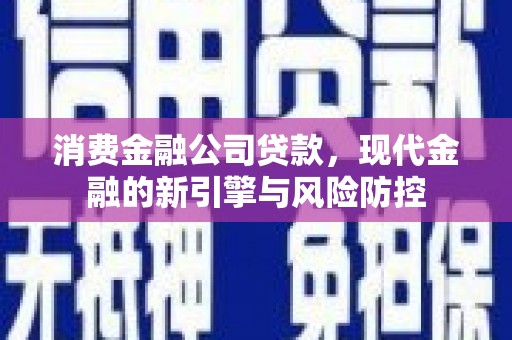 天津消费金融公司贷款，现代金融的新引擎与风险防控