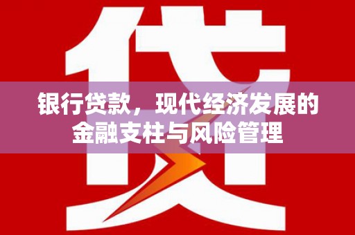 天津银行贷款，现代经济发展的金融支柱与风险管理