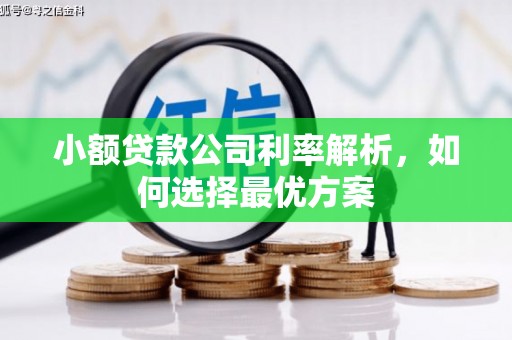 天津小额贷款公司利率解析，如何选择最优方案