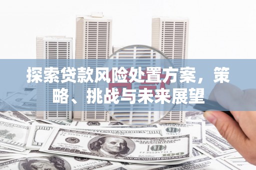 天津探索贷款风险处置方案，策略、挑战与未来展望