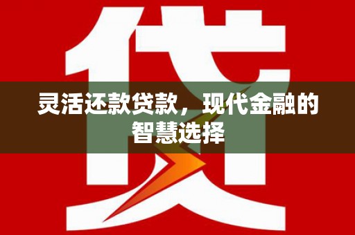 天津灵活还款贷款，现代金融的智慧选择