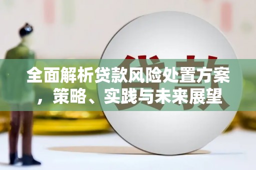 天津全面解析贷款风险处置方案，策略、实践与未来展望