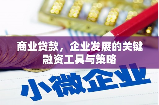 天津商业贷款，企业发展的关键融资工具与策略