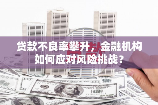 天津贷款不良率攀升，金融机构如何应对风险挑战？