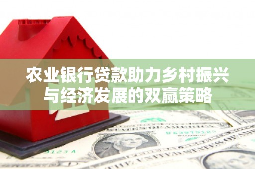 天津农业银行贷款助力乡村振兴与经济发展的双赢策略