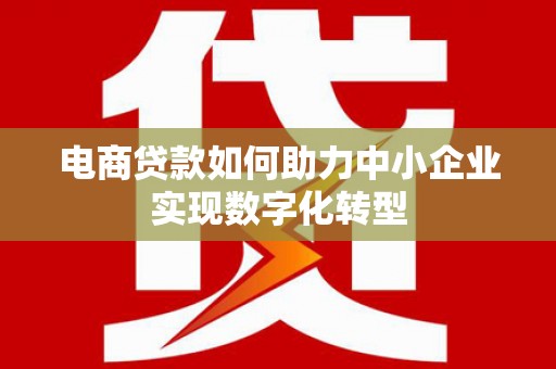 天津电商贷款如何助力中小企业实现数字化转型
