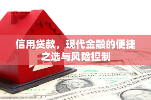 天津信用贷款，现代金融的便捷之选与风险控制