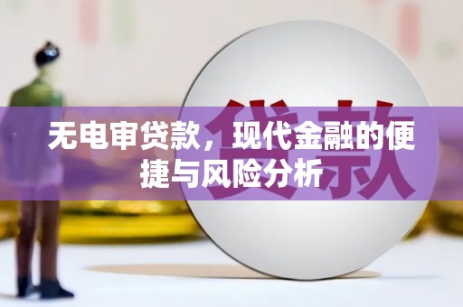 天津无电审贷款，现代金融的便捷与风险分析