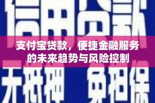 天津支付宝贷款，便捷金融服务的未来趋势与风险控制