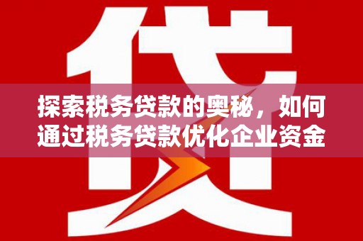 天津探索税务贷款的奥秘，如何通过税务贷款优化企业资金流