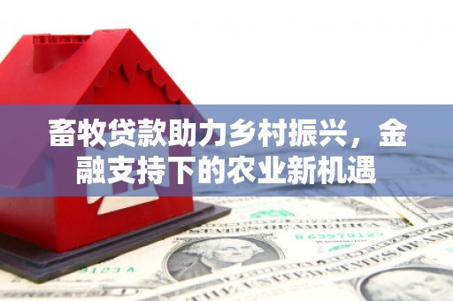 天津畜牧贷款助力乡村振兴，金融支持下的农业新机遇