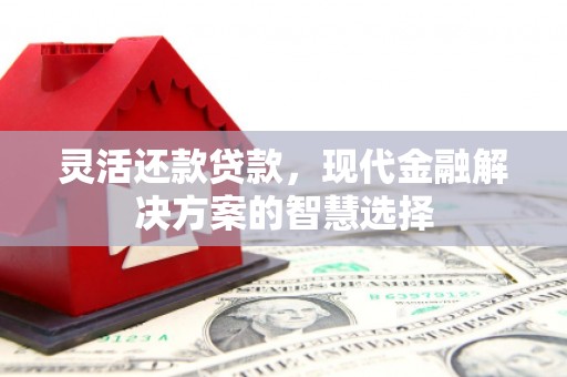 天津灵活还款贷款，现代金融解决方案的智慧选择