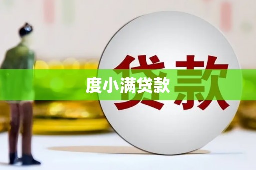 天津度小满贷款