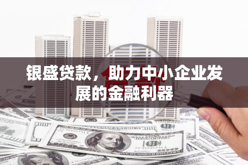 天津银盛贷款，助力中小企业发展的金融利器