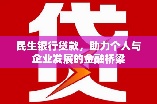 天津民生银行贷款，助力个人与企业发展的金融桥梁