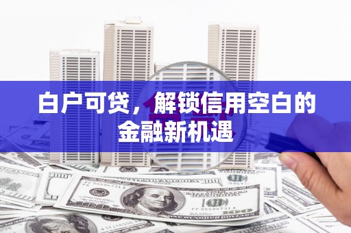 天津白户可贷，解锁信用空白的金融新机遇