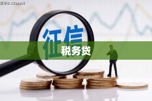 天津税务贷