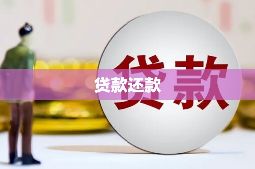 天津贷款还款