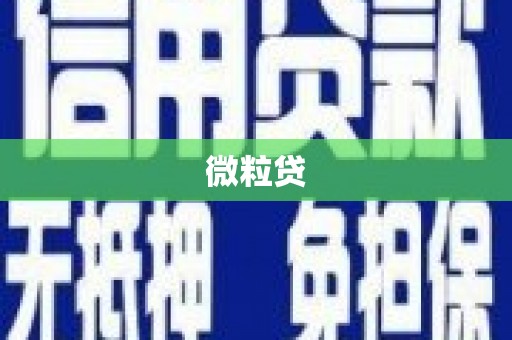 天津微粒贷