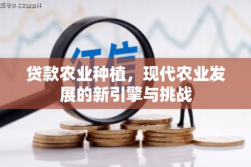天津贷款农业种植，现代农业发展的新引擎与挑战