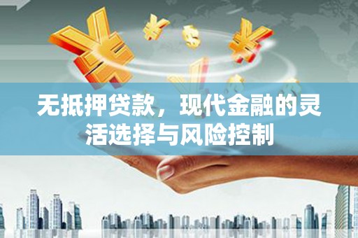 天津无抵押贷款，现代金融的灵活选择与风险控制