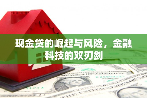 天津现金贷的崛起与风险，金融科技的双刃剑
