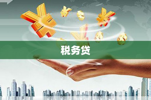 天津税务贷