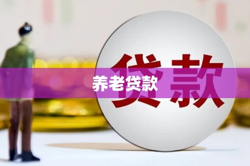 天津养老贷款