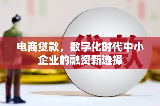 天津电商贷款，数字化时代中小企业的融资新选择