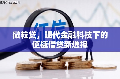 天津微粒贷，现代金融科技下的便捷借贷新选择