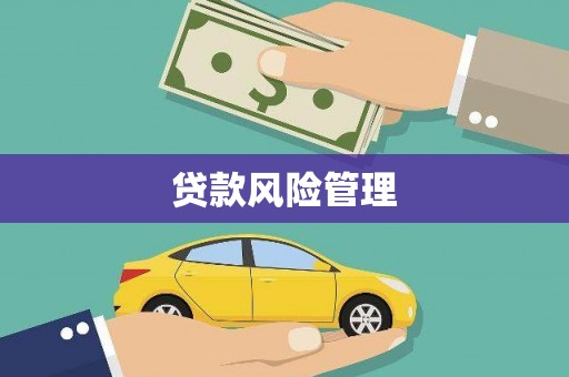 天津贷款风险管理