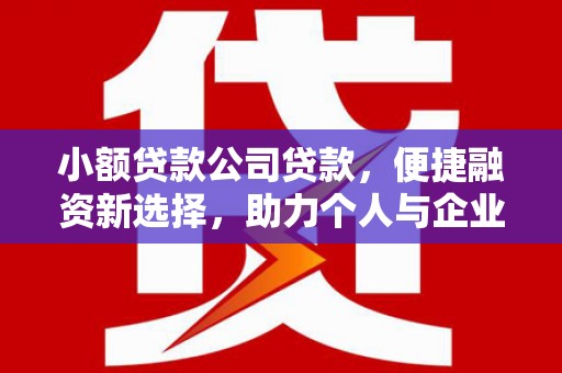 天津小额贷款公司贷款，便捷融资新选择，助力个人与企业成长