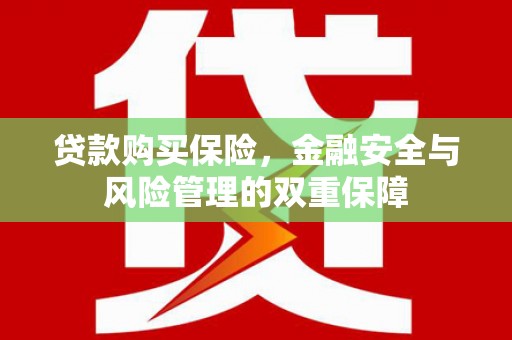 天津贷款购买保险，金融安全与风险管理的双重保障