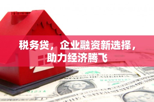 天津税务贷，企业融资新选择，助力经济腾飞